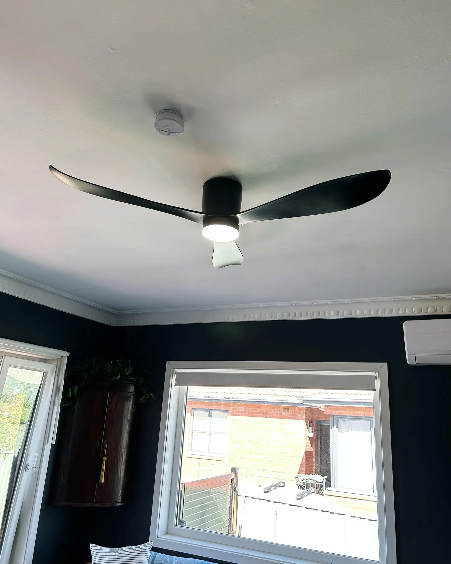 Ceiling fan with light
