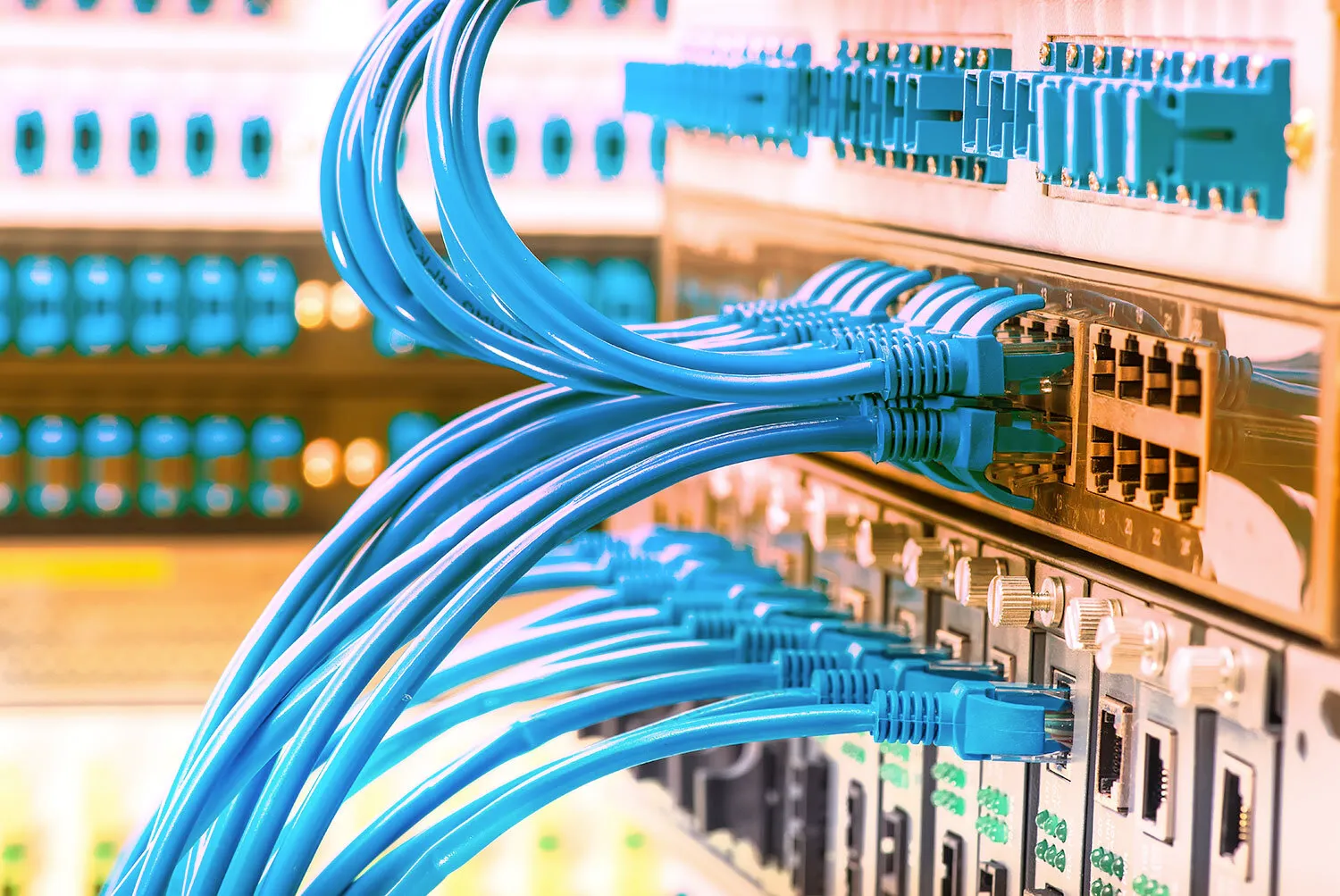 Blue data cables plugged into a network patch panel